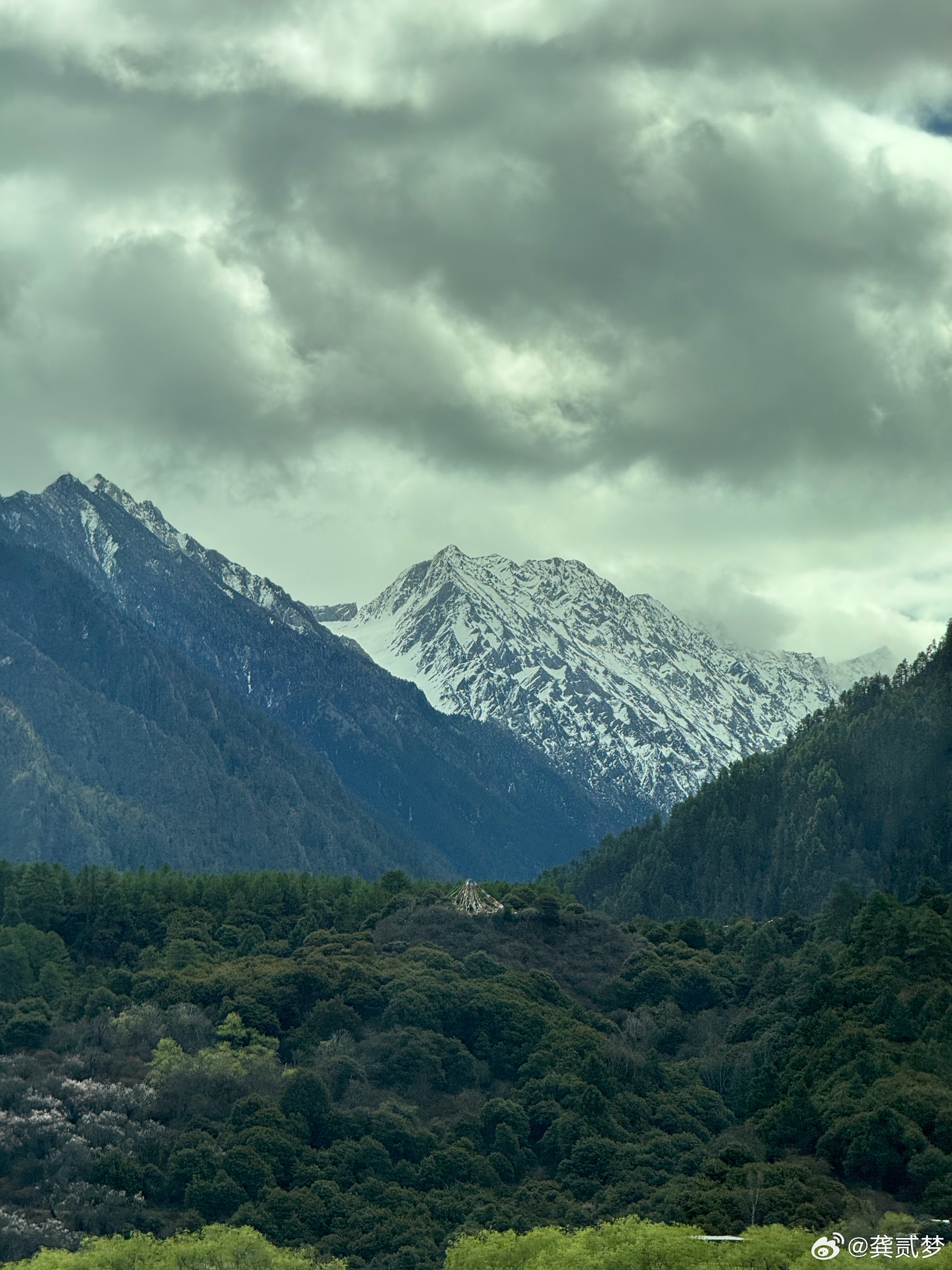 早，回家去咯！ 林芝
