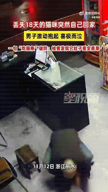 手机“啪”一下掉地上，我都没管。
脑子里嗡的一声，就剩下一个念头：是它，它回来了