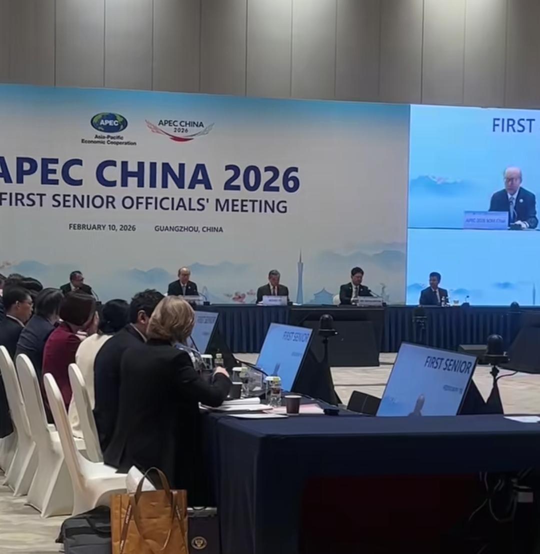 2026年APEC广州高官会开幕。
原本吵得很凶的台湾当局，还是派来两个代表来参