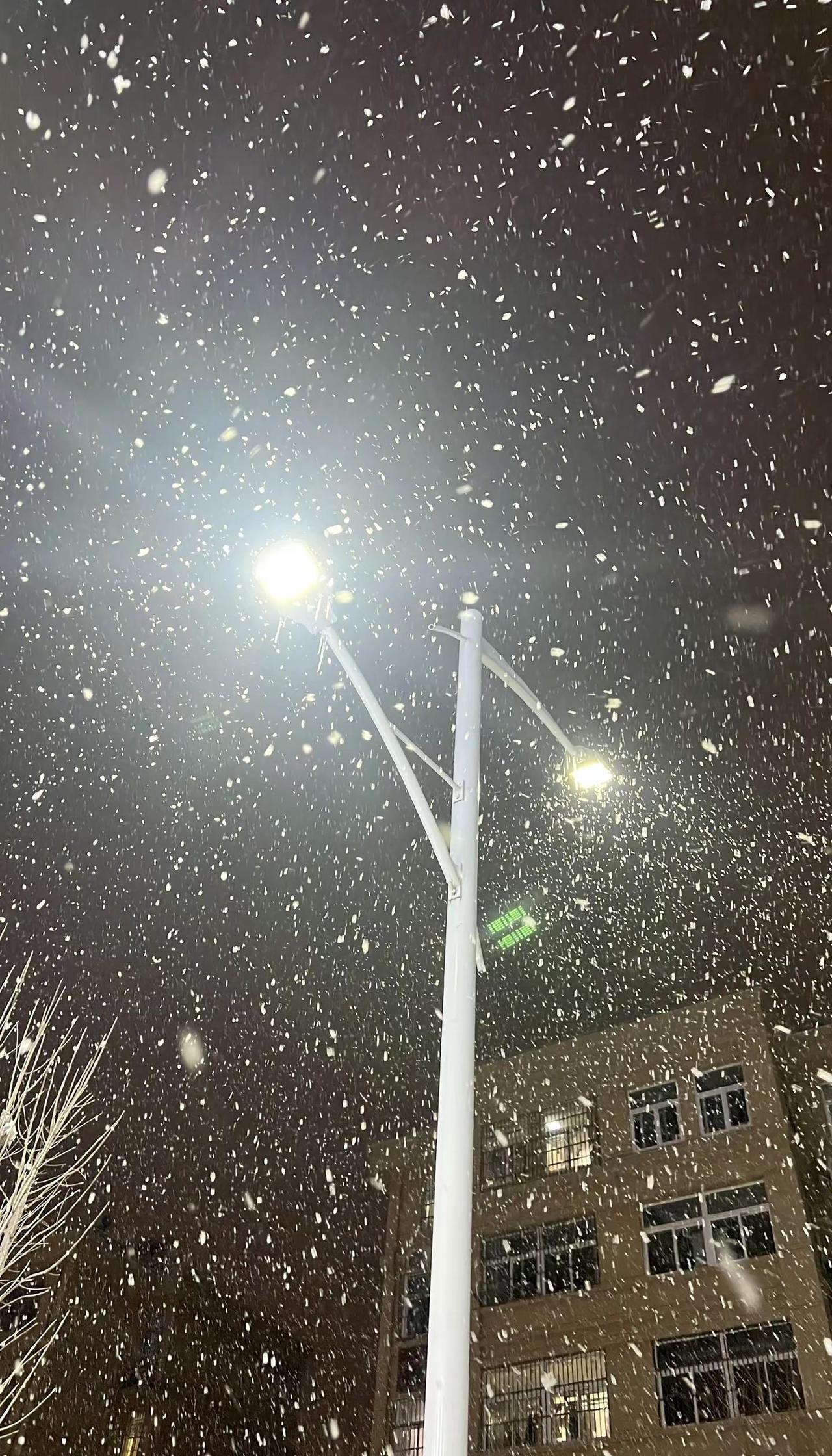 ❄️ 𝑆𝑛𝑜𝑤𝑦 𝑑𝑎𝑦 ❄️2026这个冬天降雪几率100%