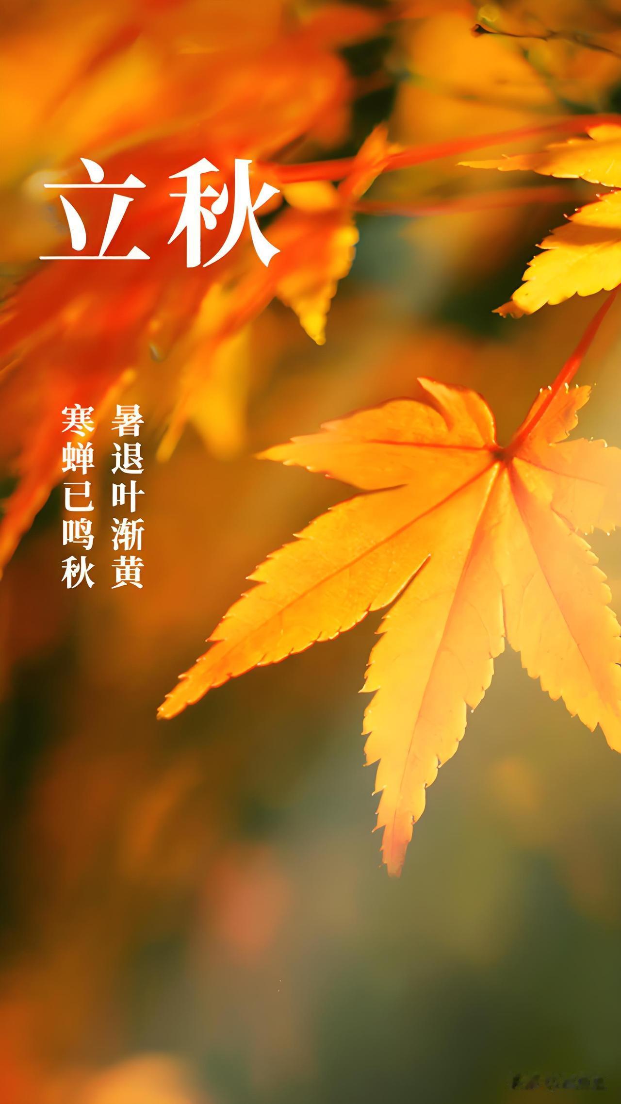 提前通知大家，就在今天，2026年8月7日19点42分26秒，北方的要准备个大西