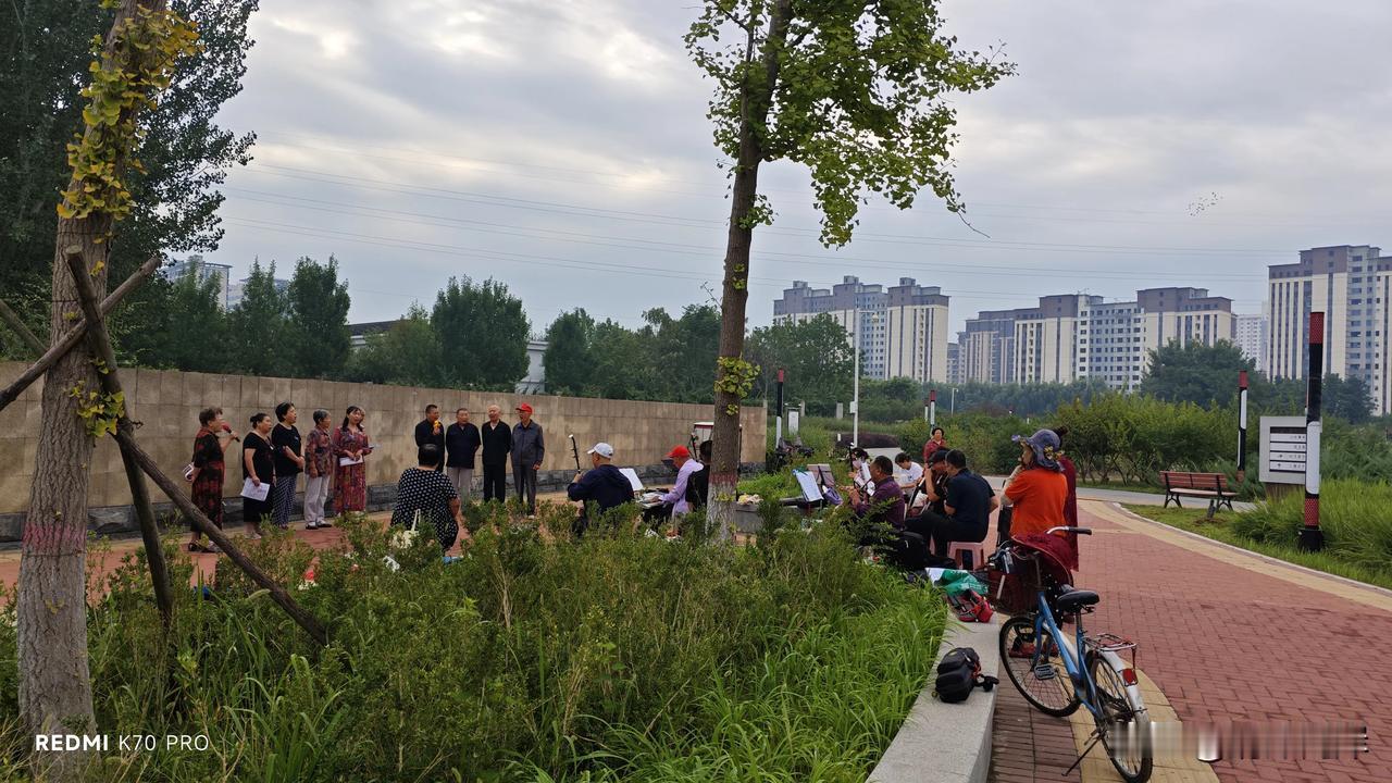 今天早晨去了一个叫雁翎的公园。我一看这样的名字就和白洋淀雁翎支队有关系。说到这里