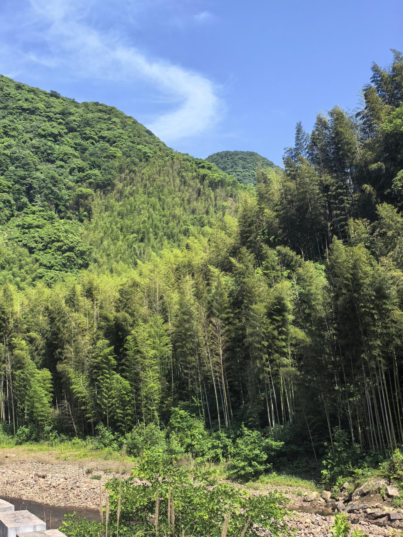 一天走过皖南川藏线，醉心的却是这片绿水青山。


皖南川藏线向往已久，据说慢慢游