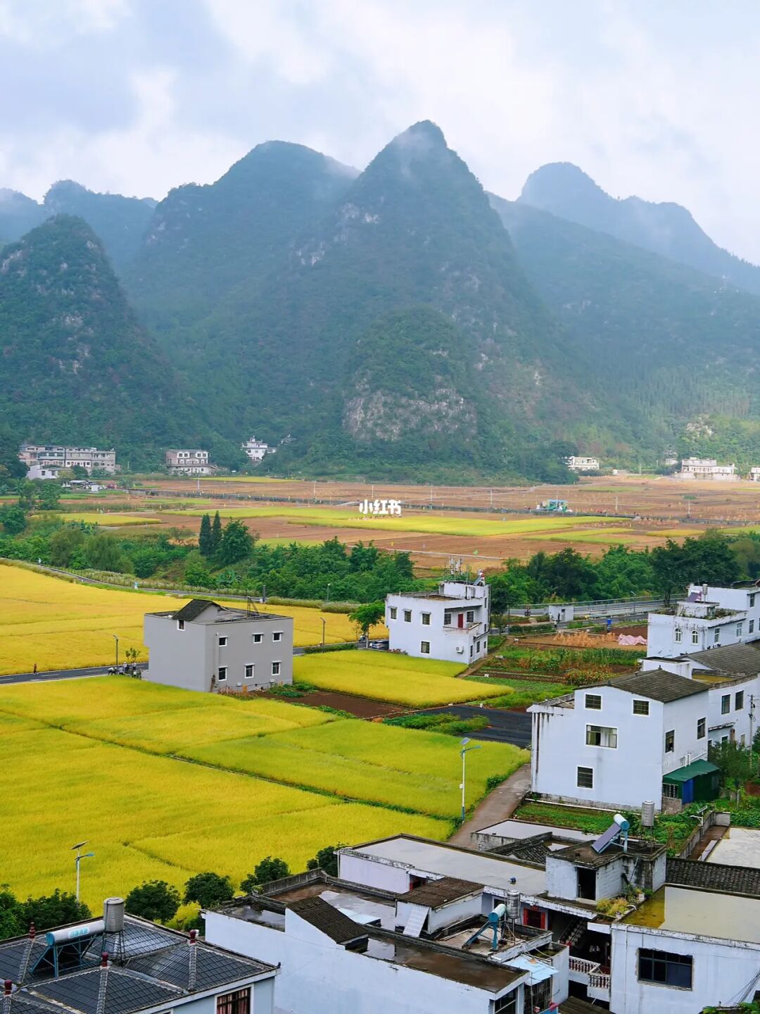 贵州兴义万峰林，稻田进入金灿灿模式！