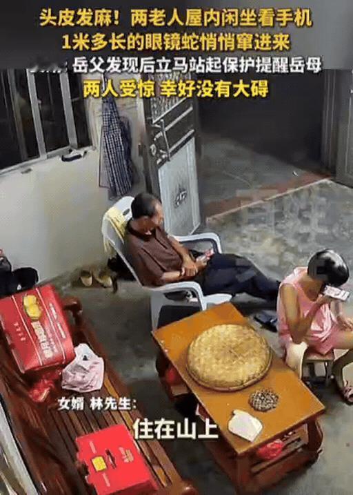 头皮发麻！15日报道，广东一老人在屋内玩手机，突然感觉身后有动静，他以为是老鼠，