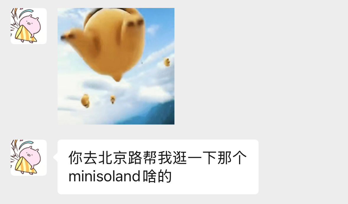 我闺蜜招呼半天结果是逛一个minisoland 这个语气我以为他要逛一下巴黎世家