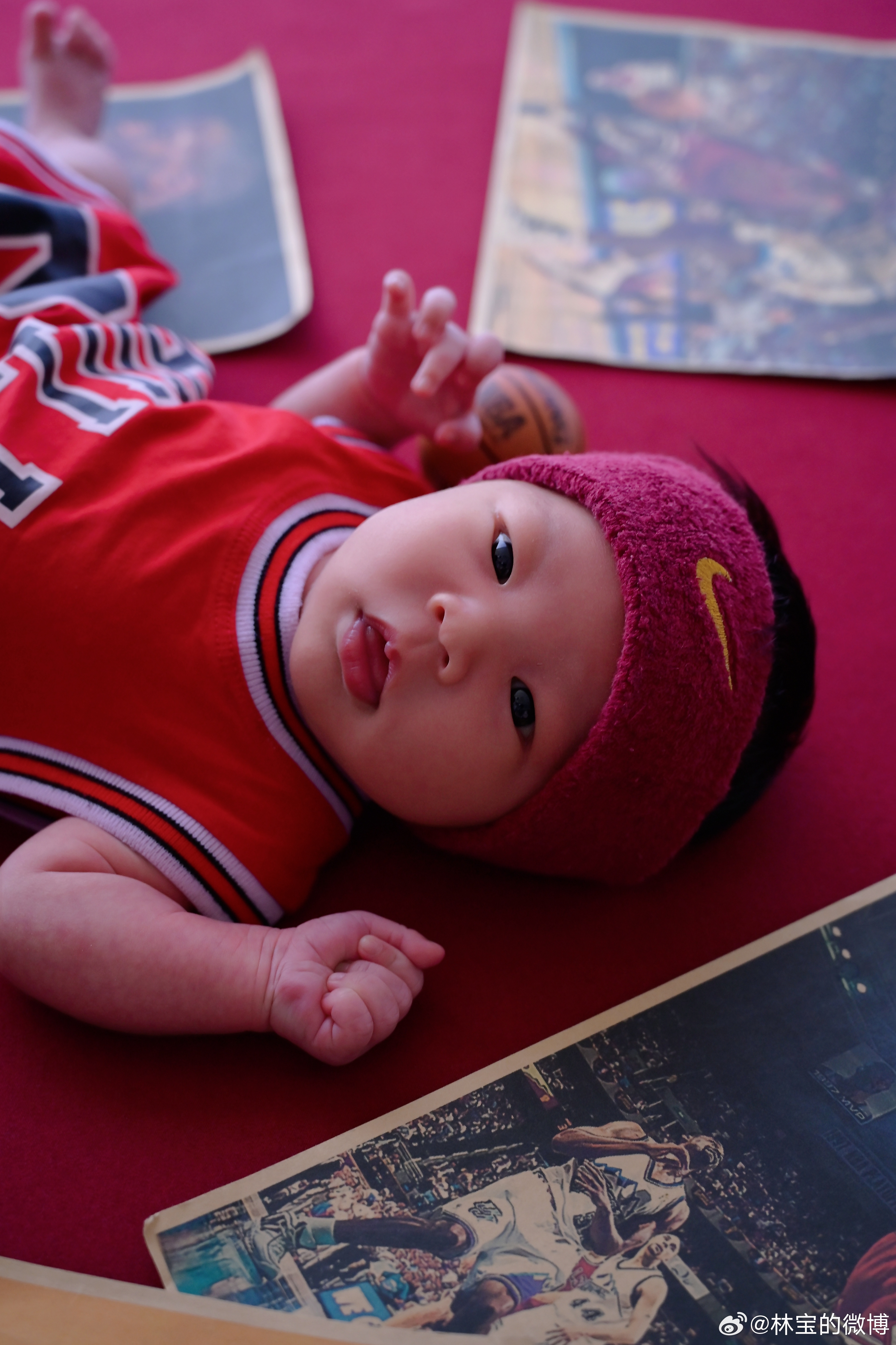 简直可爱的不得了