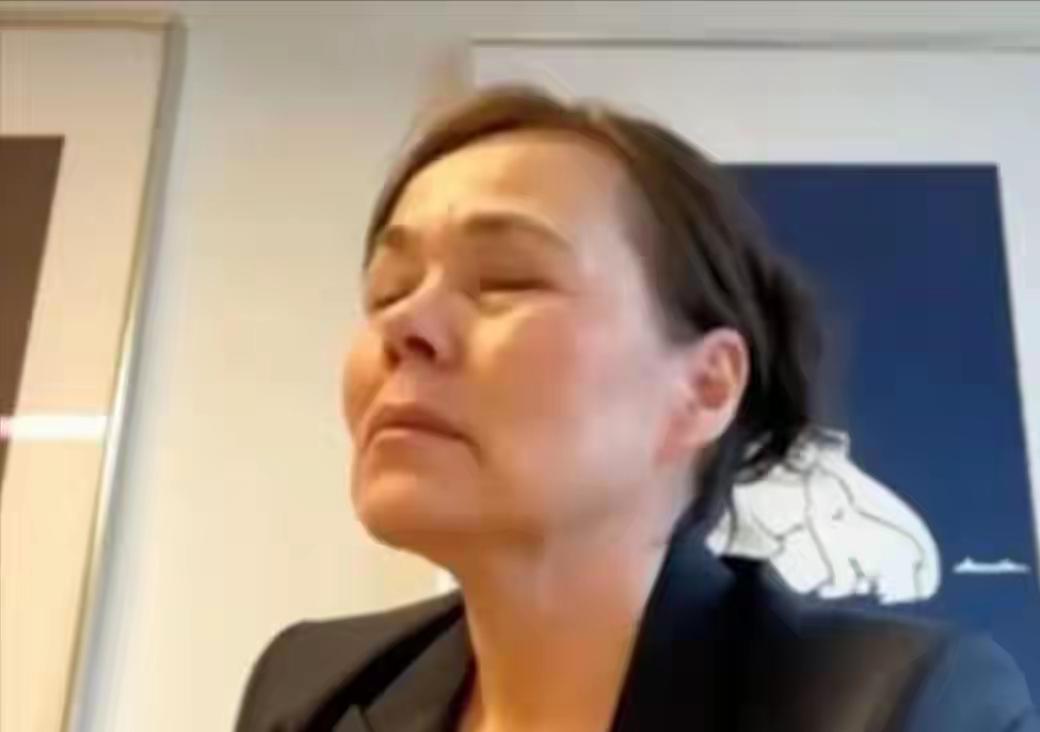 格陵兰岛的外交负责人会见美国副总统后欲哭无泪。
这一画面必将被历史记载，在野蛮世