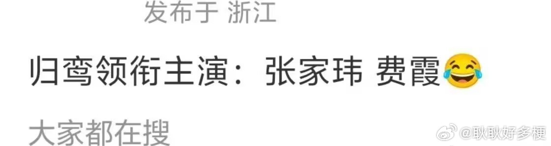 归鸾领衔主演张家玮费霞哈哈哈哈哈哈哈哈哈像年代剧 