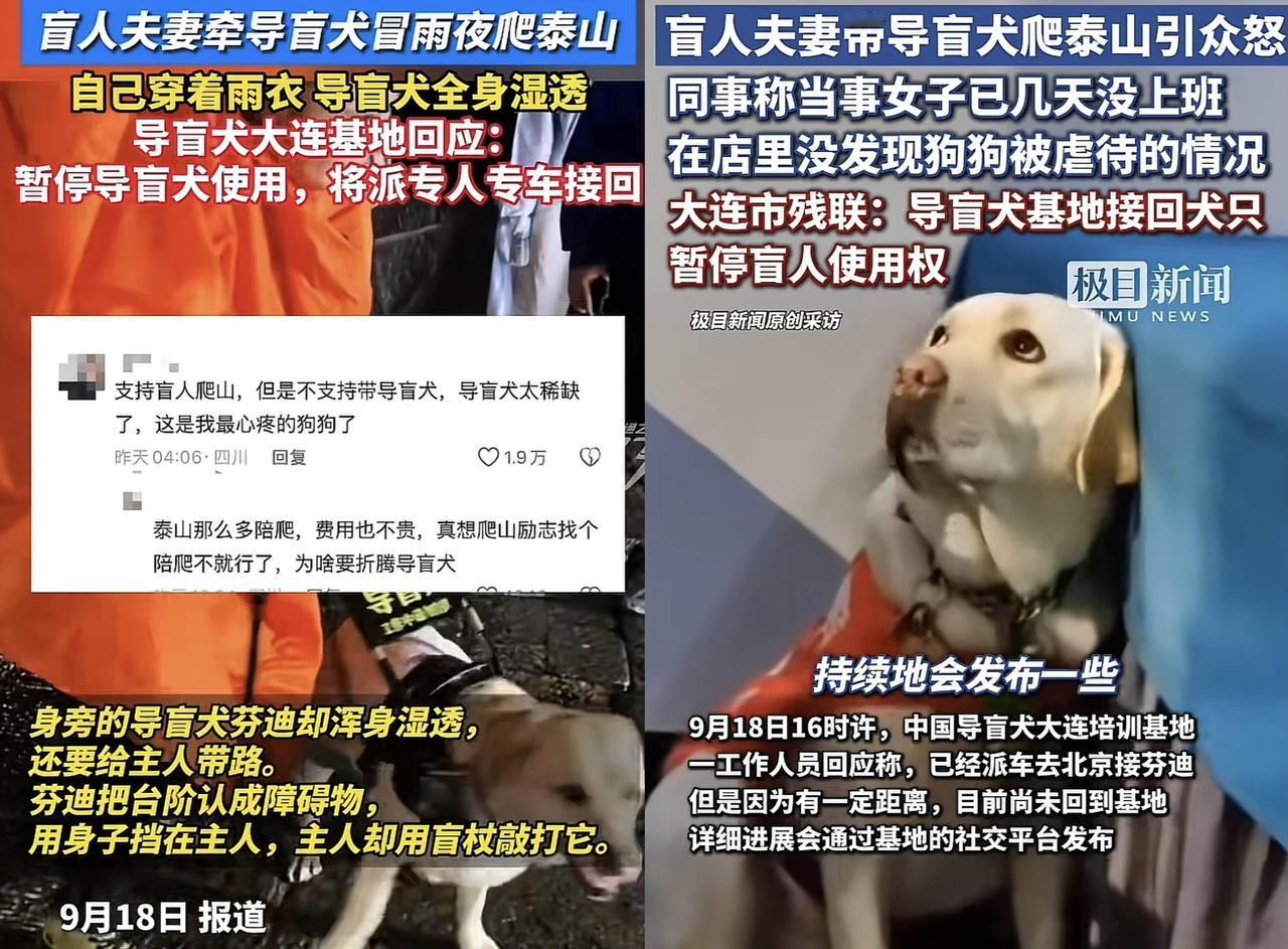 芬迪被连夜接走。 大连基地的车昨晚十点到北京，把那条陪盲人夫妻冒雨爬完六千级泰山
