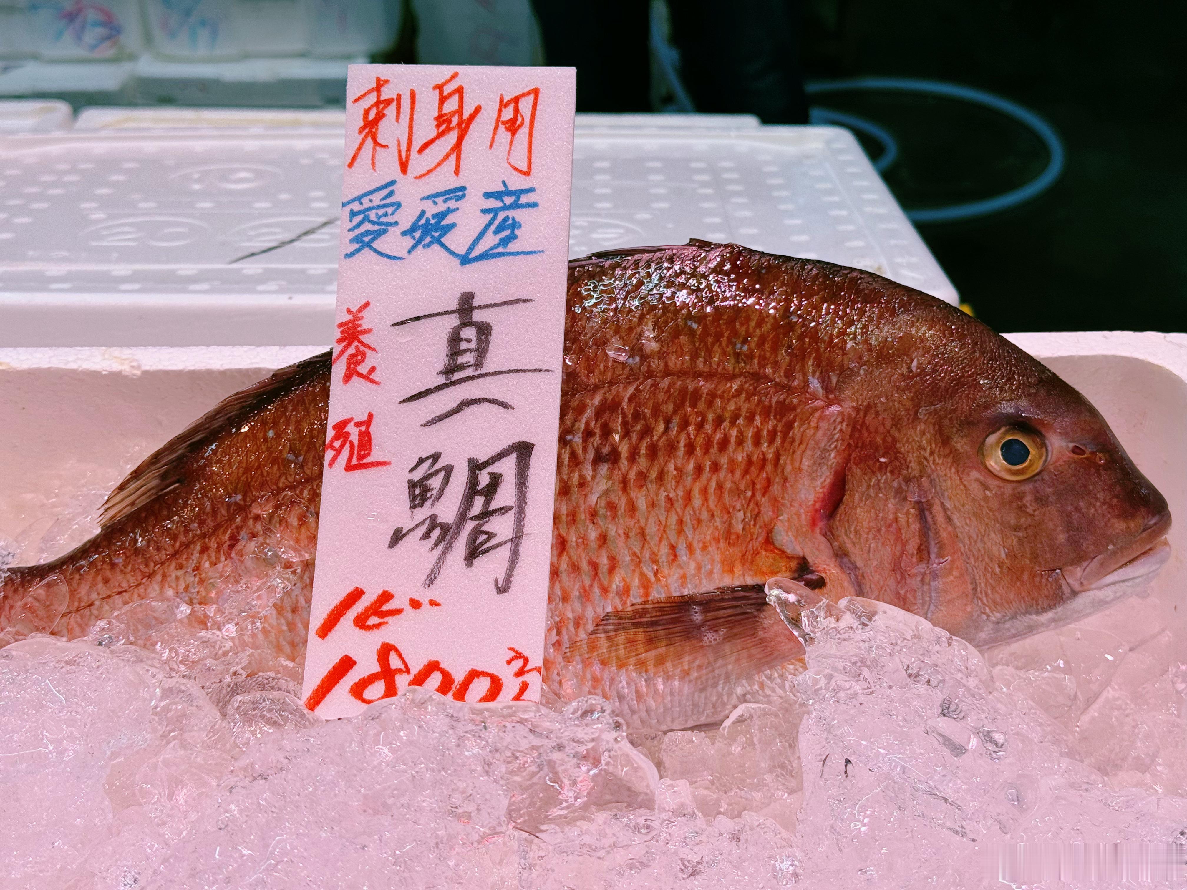 想吃鱼
