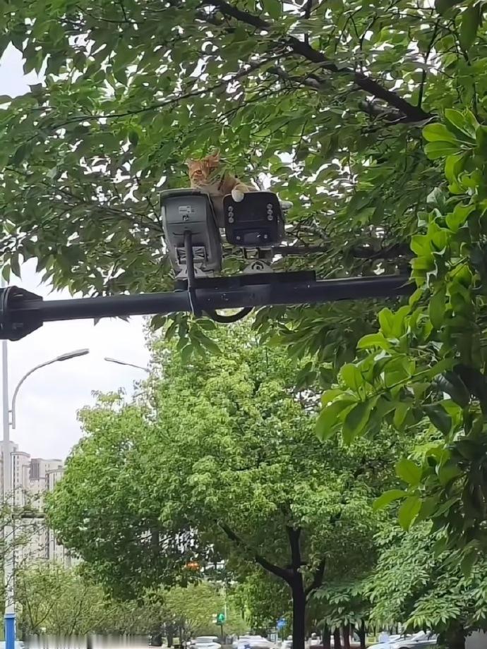 遇到正儿八经的猫眼监控了