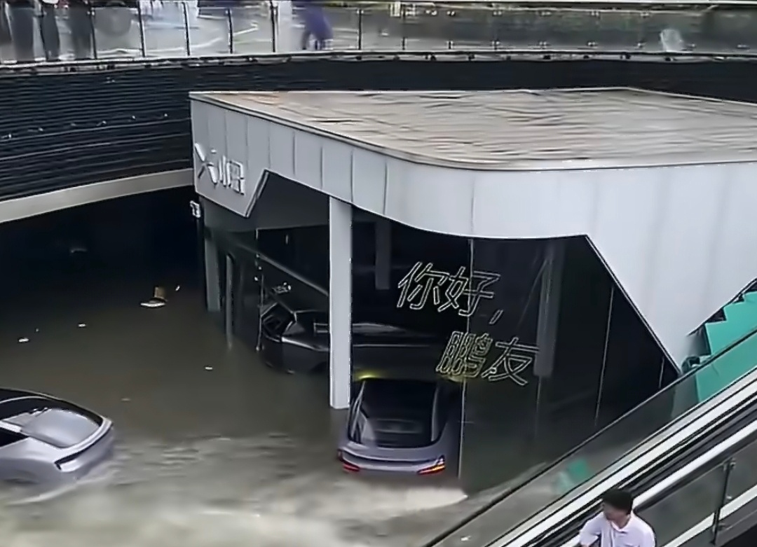 台风白海豚造成的损失真的很大，各地各种涨水不说，刚刚看到一家商场里的汽车店面，展