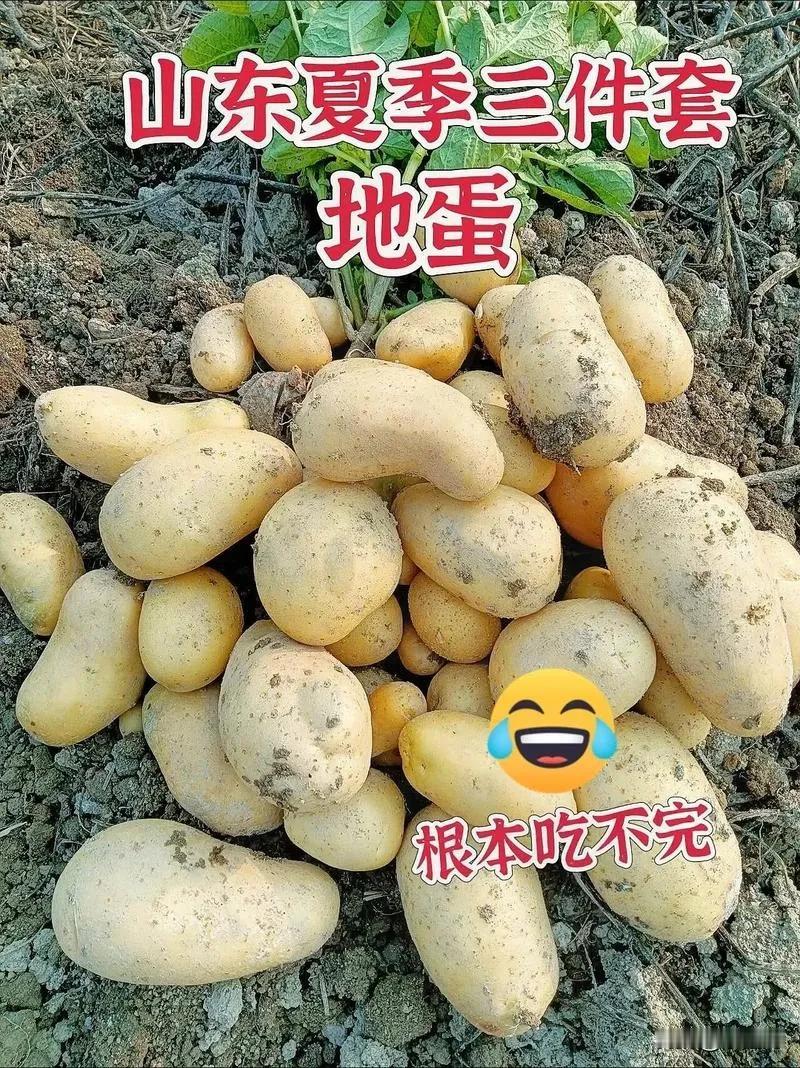 我和嫂子当时都石化了。如今小妞12岁了，大长腿长马尾洋气的不得了，完全不是哭着要