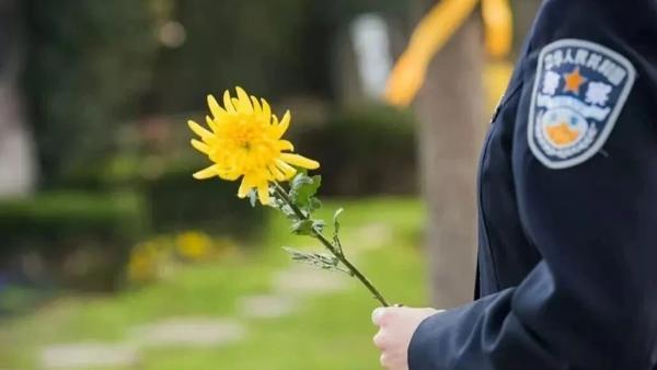 清明追思，致敬真心英雄
清明时节，细雨纷飞，追思如缕，绵延不绝。在这缅怀先人的日