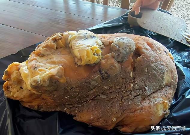 抹香鲸的呕吐物，据说和黄金的价格差不多，真没有想到这些东西，居然这么值钱。这要是