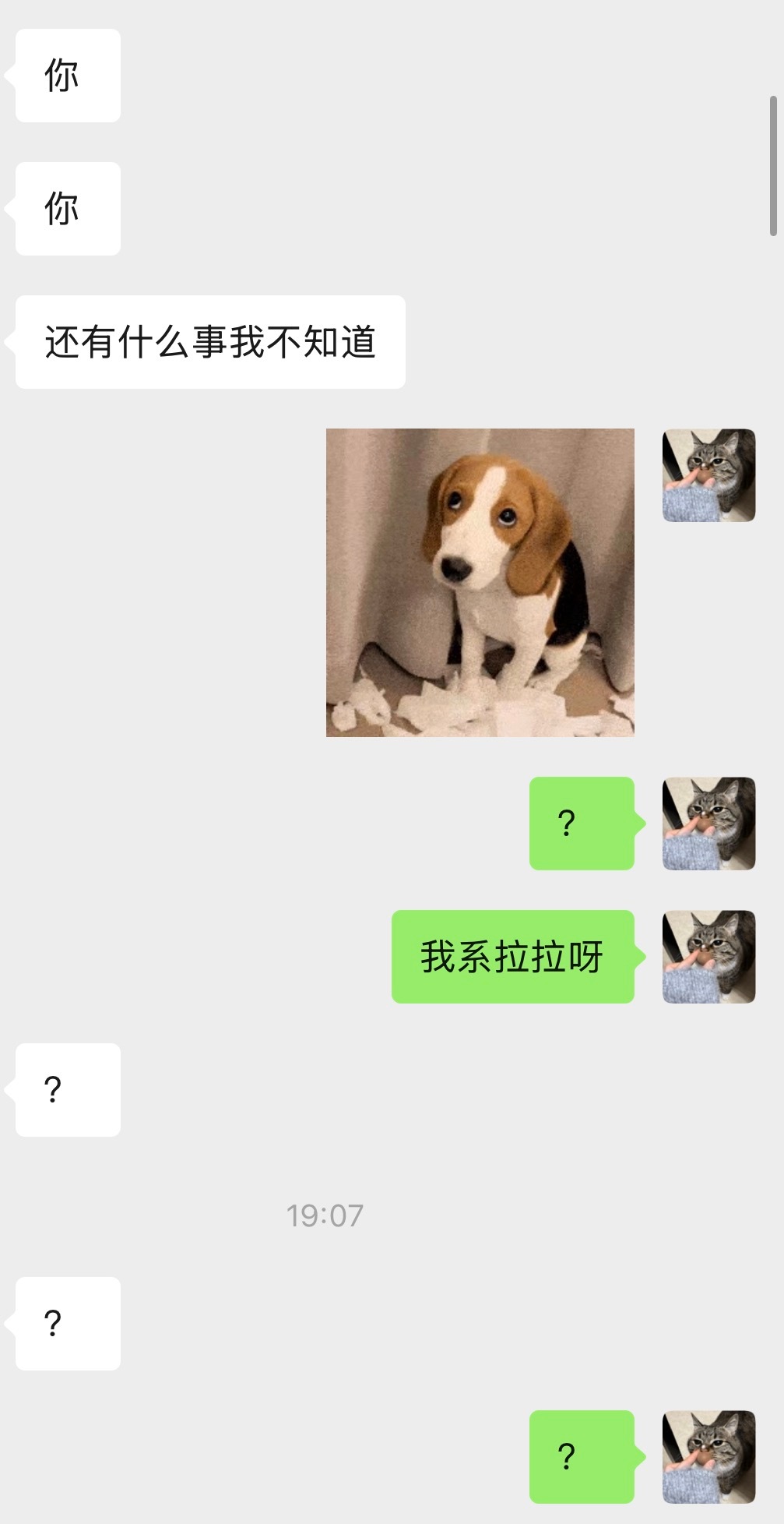 我系拉拉呀 