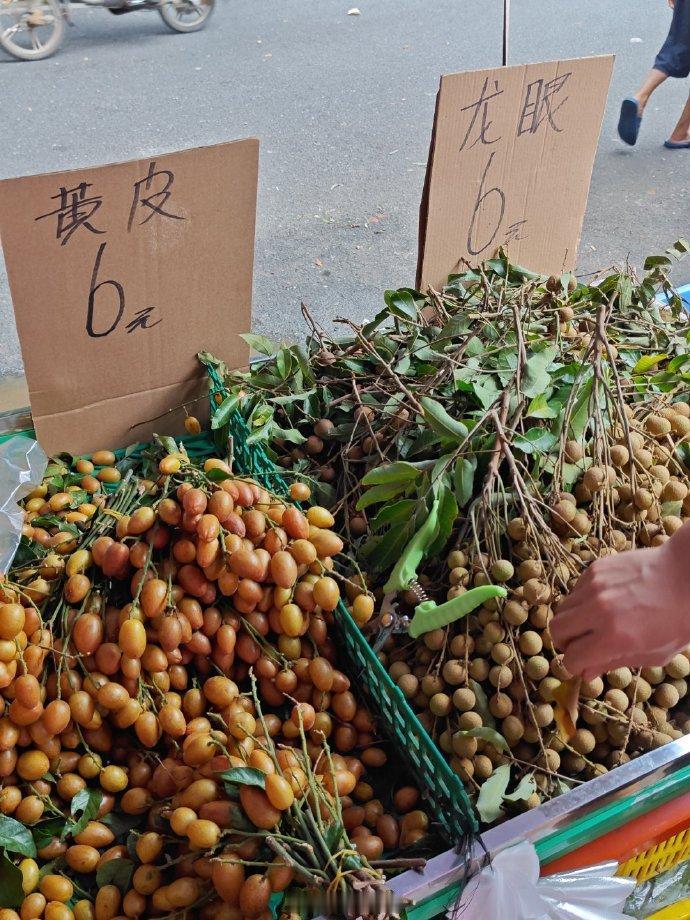 黄皮龙眼旺季，最低6元，贵的也不超10元。