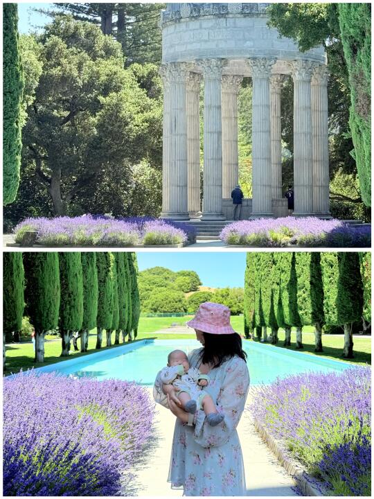 湾区假装在欧洲💜免费罗马神殿的薰衣草