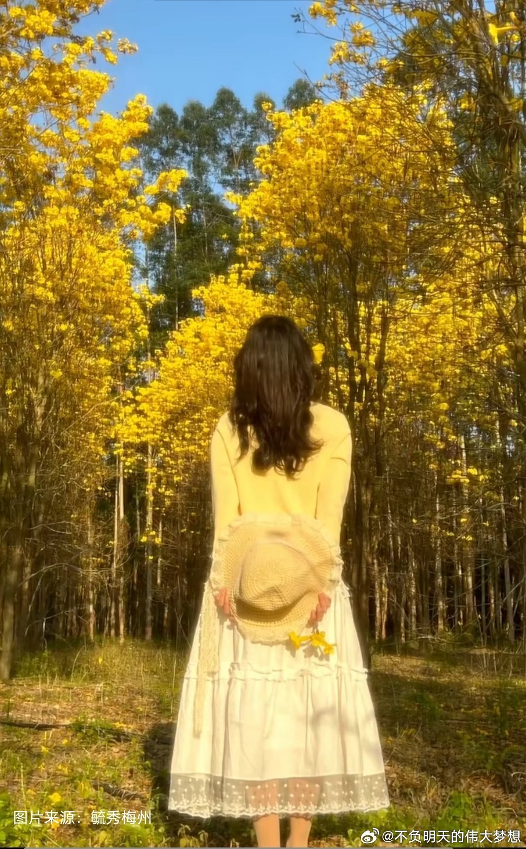 早安 无论什么事，只有勇敢开始，才能知道自己的潜力有多大；只有步履不停，答案才会