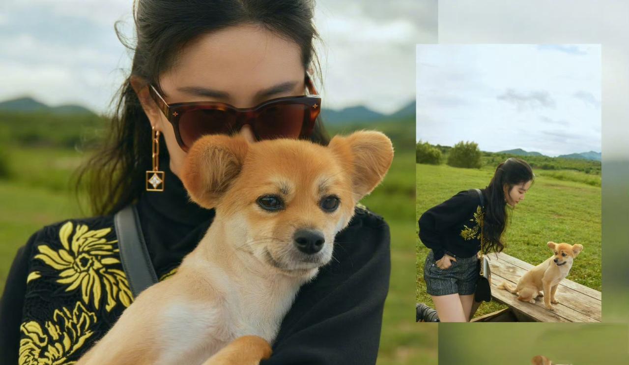 刘亦菲：人美心善，爱意满溢的仙子

在大众眼中，刘亦菲是宛如仙子般超凡脱俗的存在