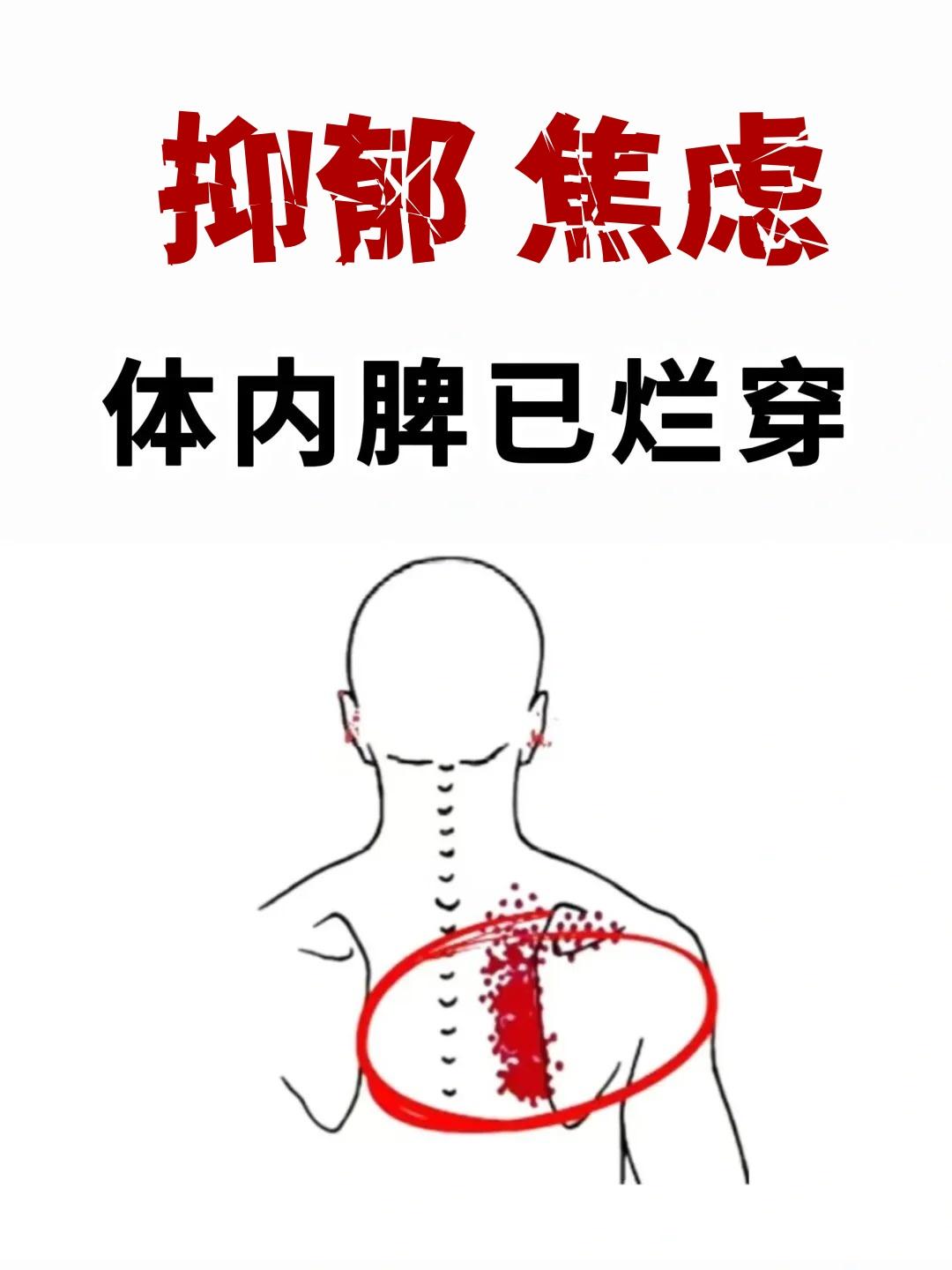 抑郁 焦虑，一把柴胡
二十多年前的深秋，我独自在古籍书店翻阅泛黄的医典，指尖拂过