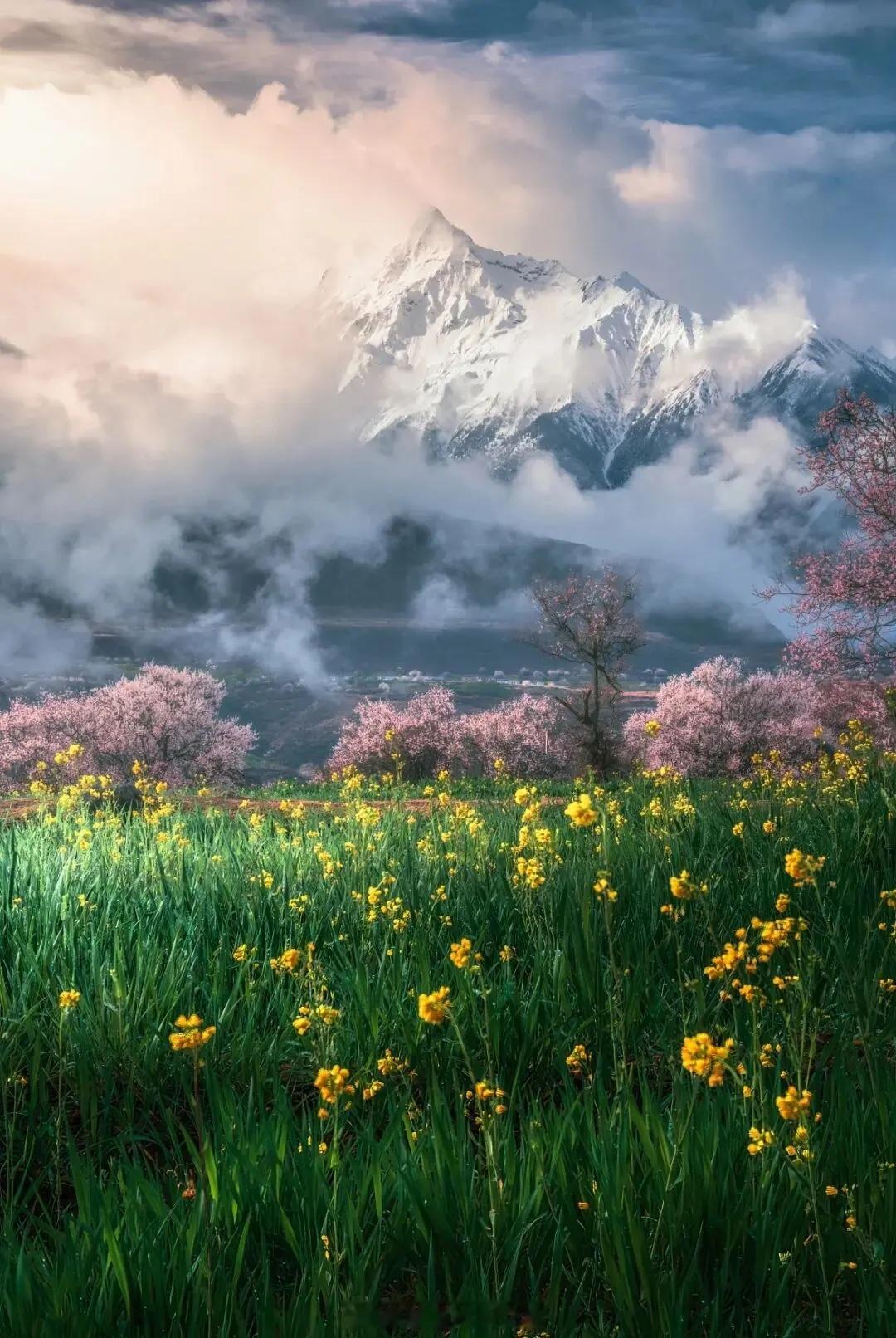 股票投资如种树，日日观其长，反而不见其增。数月一看，方觉枝繁叶茂。急躁是贫穷的加