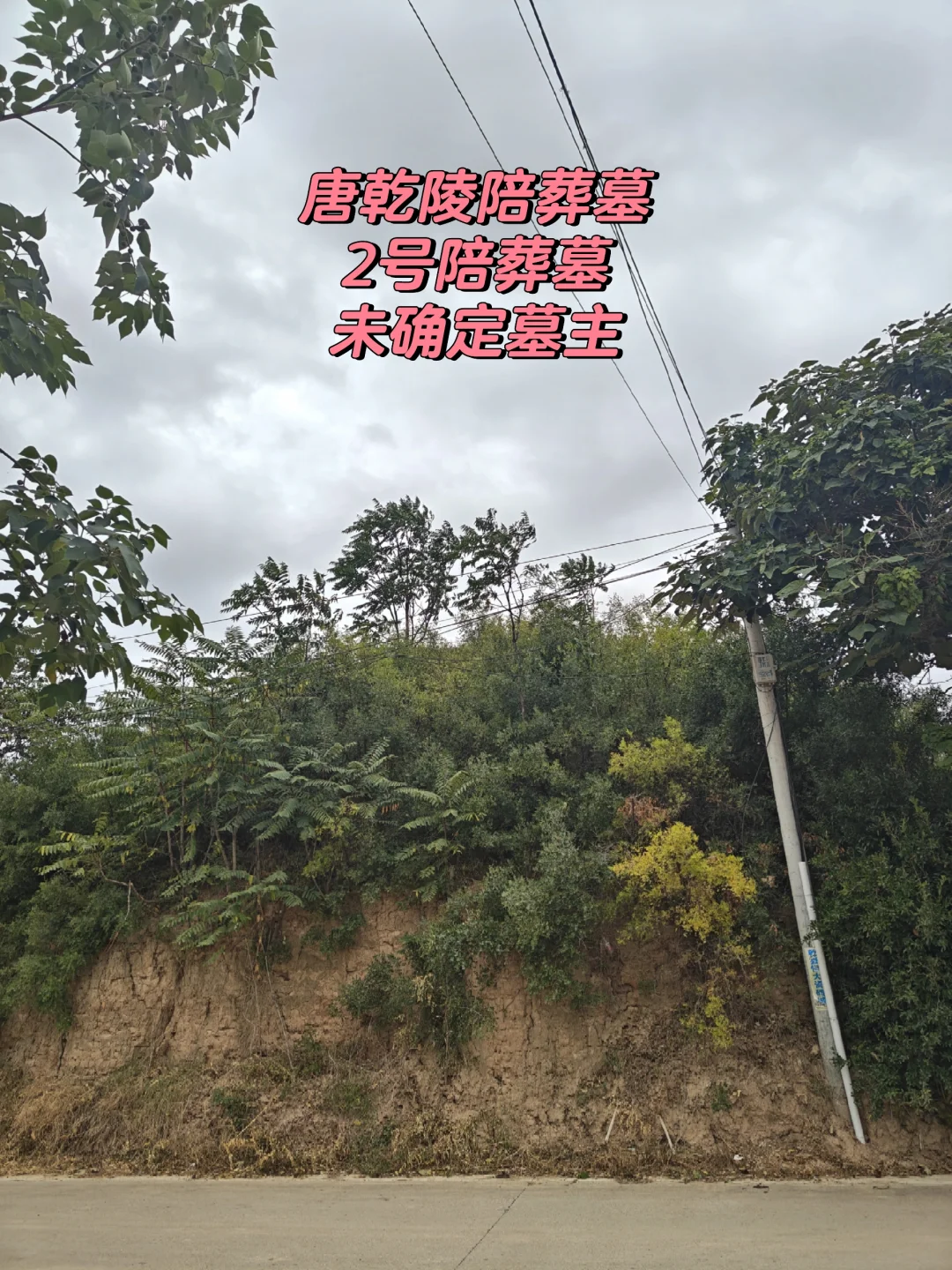 唐乾陵陪葬墓：2号陪葬墓