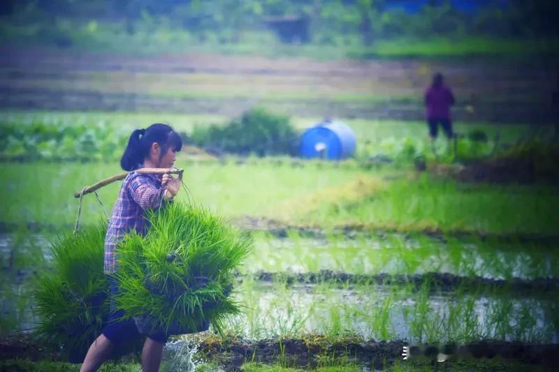 看到“地里耕田汉”这个上联，瞬间来了兴致。我对“山间采药翁”。“地里”对应“山间