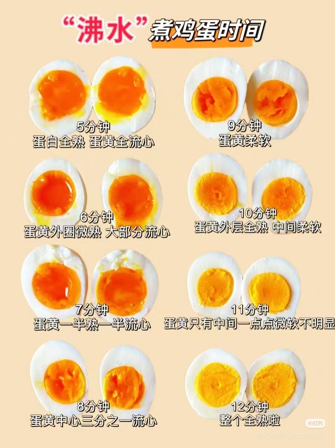 凭煮蛋涨粉356万博主回应爆红参见蛋蛋之神 