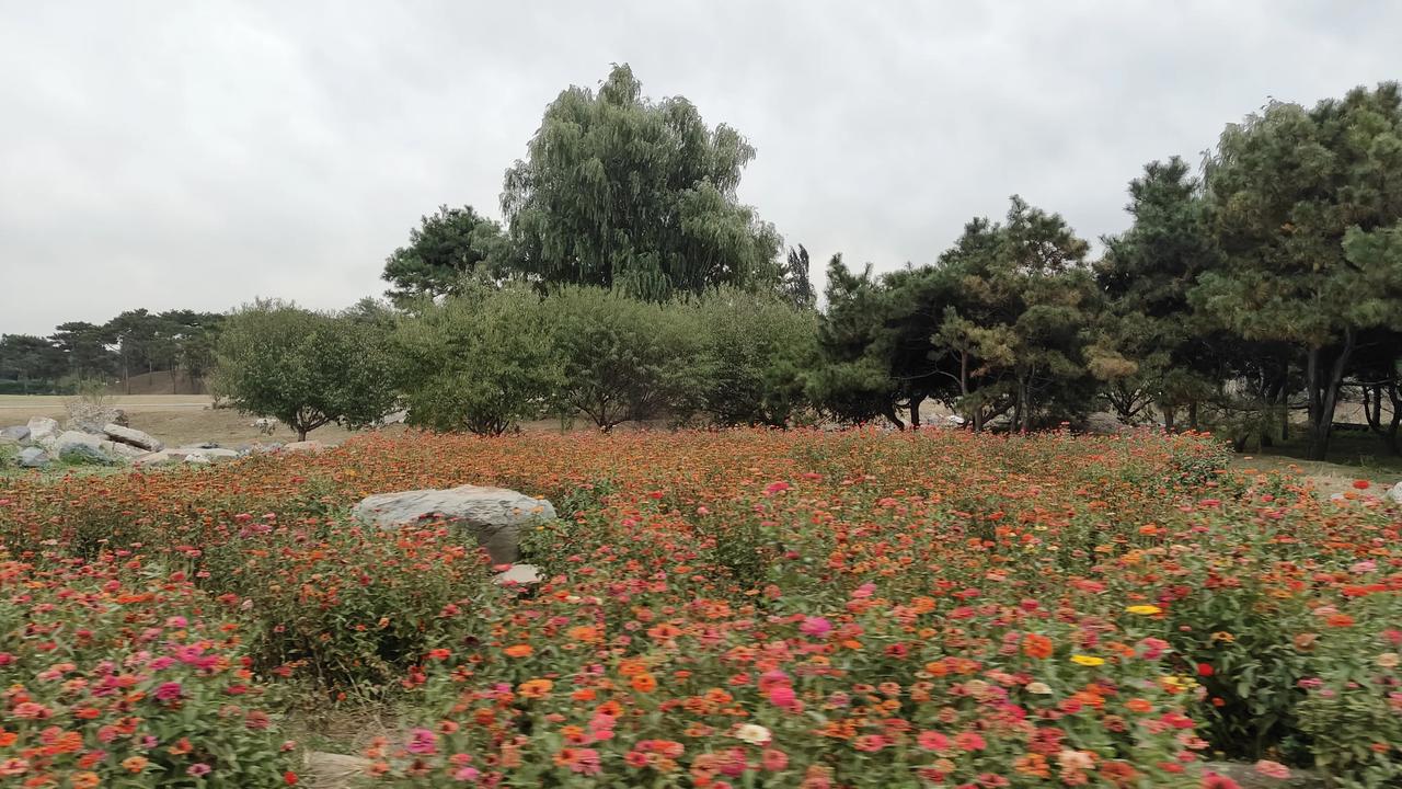 昨天天气阴沉寒冷，进入圆明园，游人真多，路过福海后，坐上了圆明园西部的观光车，2