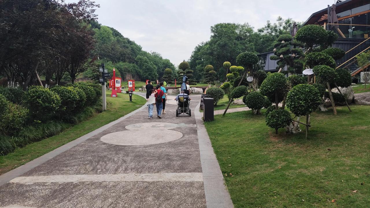 记录我的2026公园风景随手拍分享一张自然风景的照片