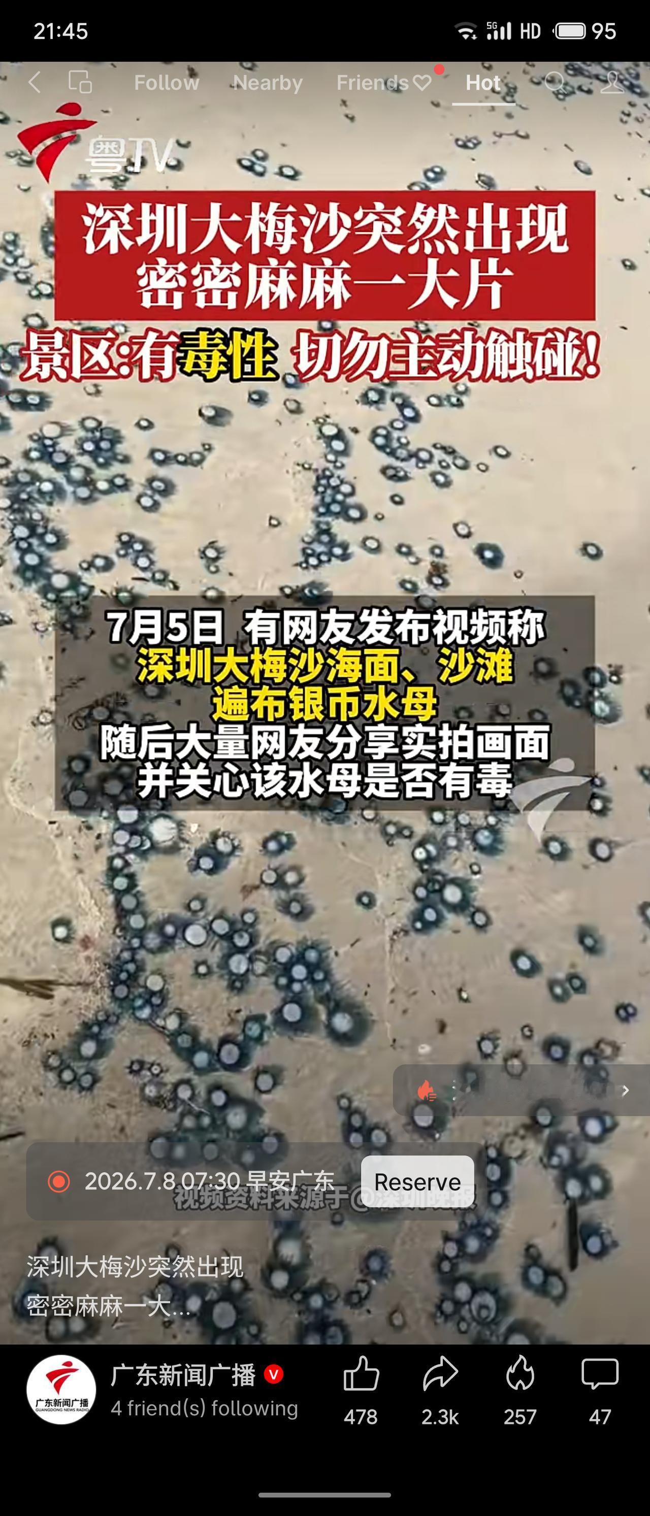 7月5日，深圳大梅沙海面及沙滩突现大量银币水母，景区称系高温引发的季节性生态现象