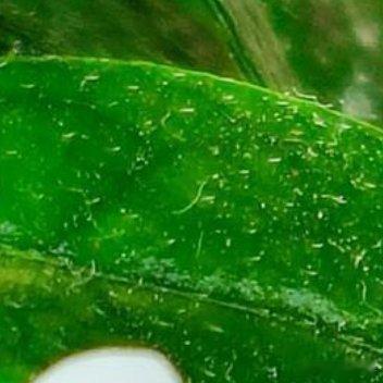 与其惶惶担忧未知的未来，不如当下踏实努力。唯有奋斗能赋予你安全感，不必寄望他人，