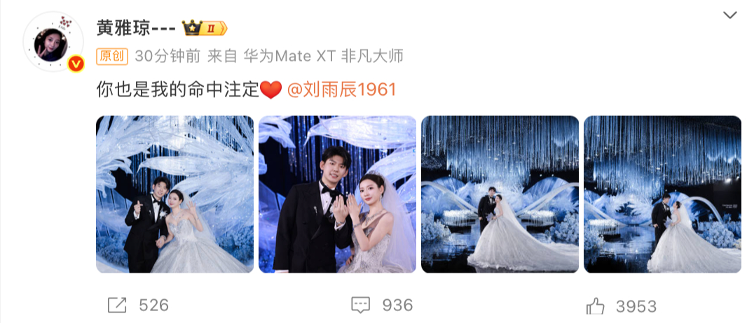 刘雨辰黄雅琼婚礼甜度爆表！世界冠军黄雅琼刘雨辰婚礼圆满礼成，全套婚嫁五金曝光！两