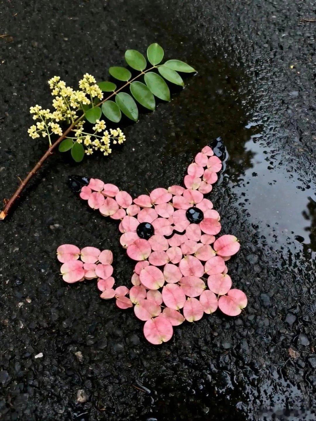 秋美落叶花瓣比拼精美背景图～🍂🌼🍁🍂🌸 ​​​
