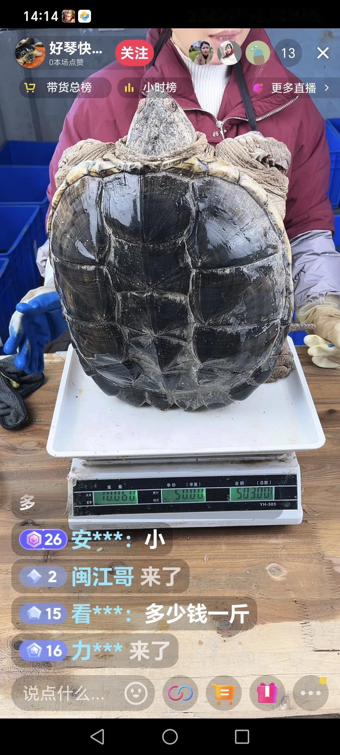 合理烹饪鳄龟，能丰富饮食种类。
鳄龟生性凶猛，吃了它，也是造福一方。广西玉林、江