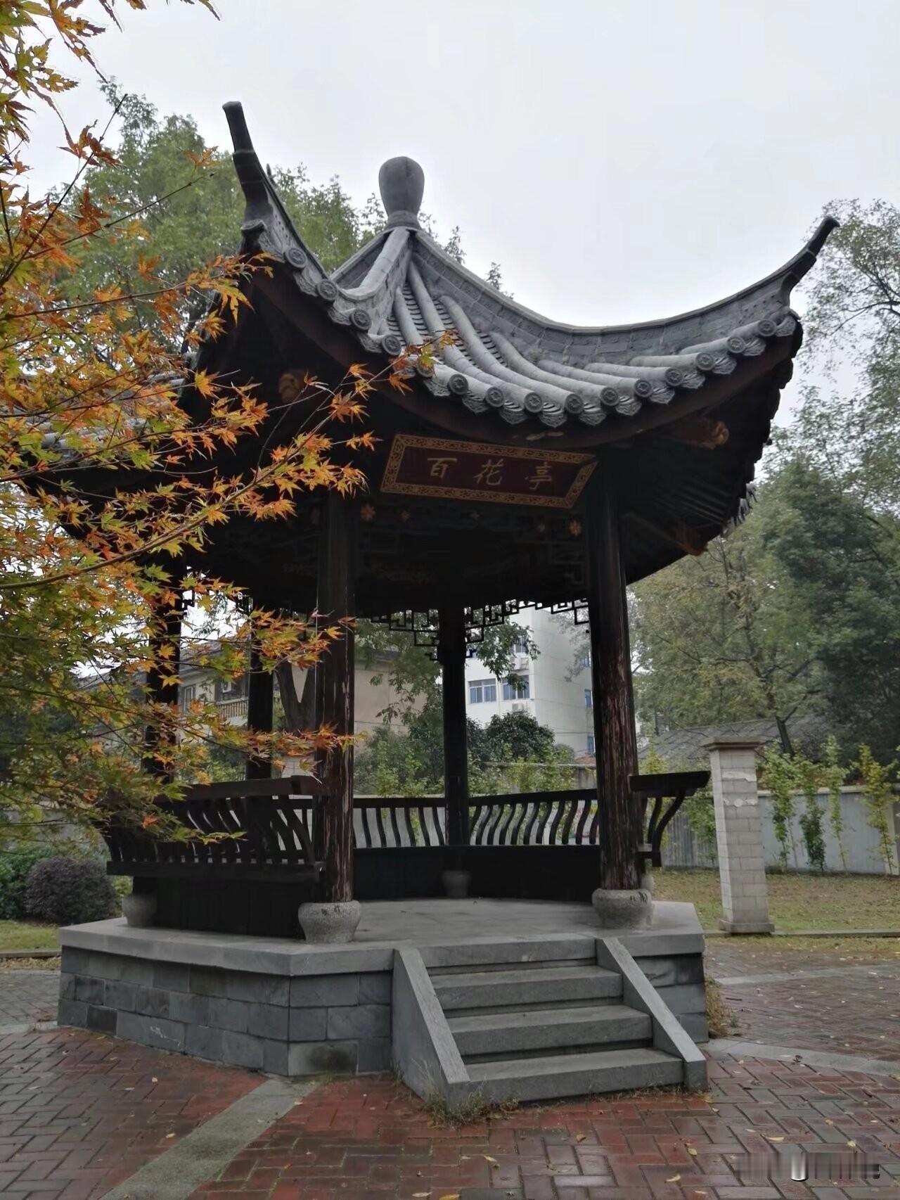 苏雪林与安庆

1915年，苏雪林以作文满分的成绩考入安徽省立第一女子师范学校（