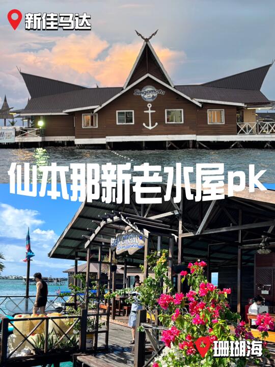 仙本那新老水屋pk❗️新佳马达vs珊瑚海如何选