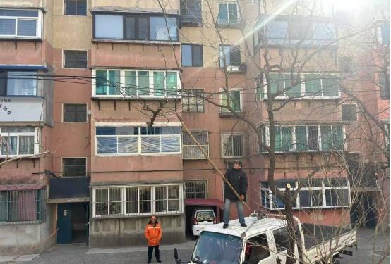 社区网格员快速处置电线挂枝安全隐患 有一种美好叫辽宁 牢记殷殷嘱托实现全面振兴 