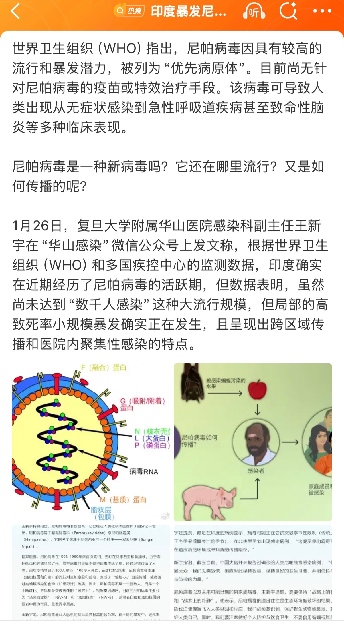 世卫称尼帕病毒或引发全球大流行病毒赶上春运人流大变动时候，确实应该多注意预防。但