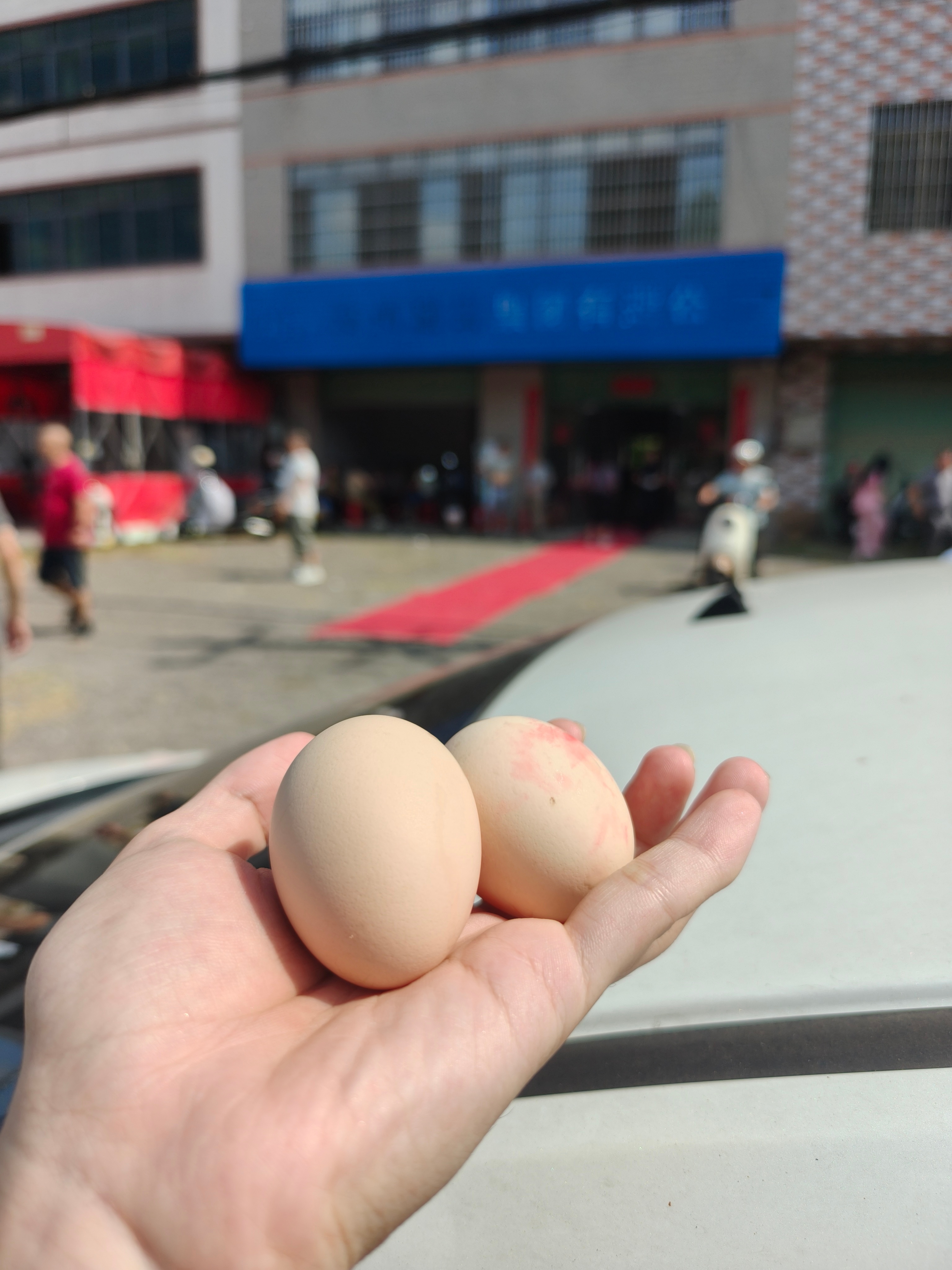接亲拿到两颗蛋🥚 ​​​
