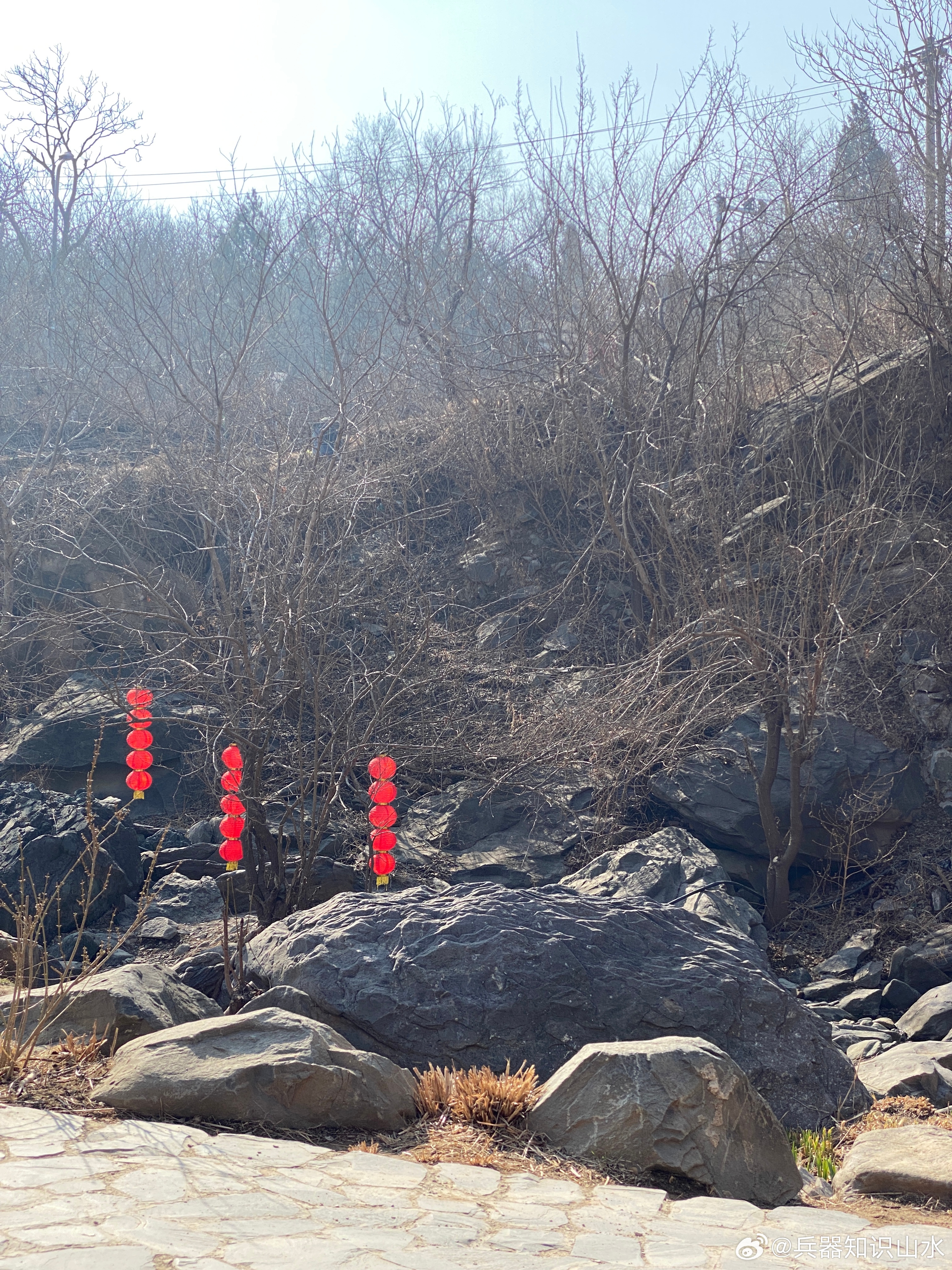 在春日阳光中发会儿呆，久违的感觉了 