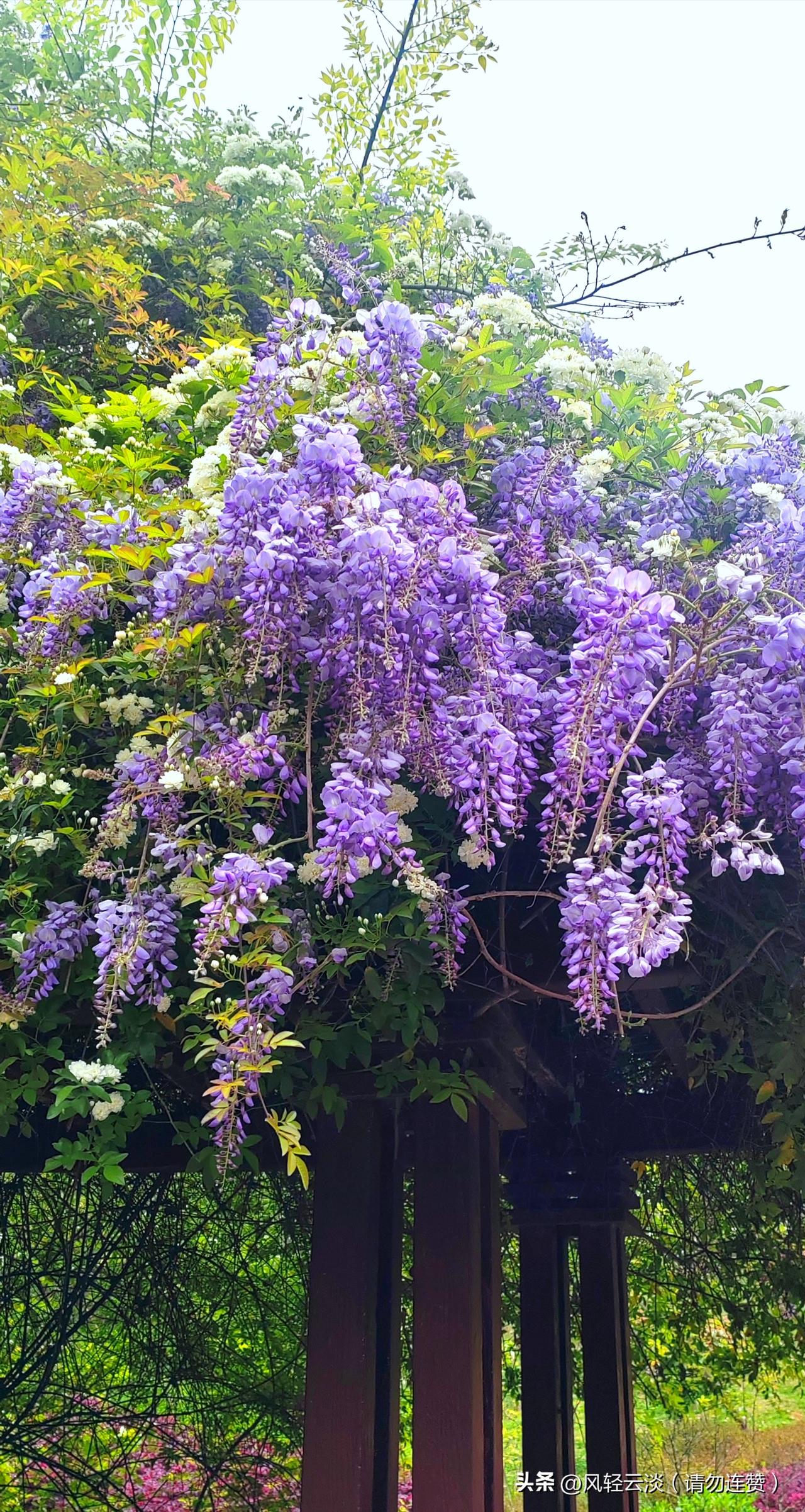 人过五十，最好的活法，便是没心没肺。❤️
心大了，事就小了；
看开了，路就宽了。