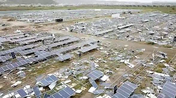 树，不是很好吗。 