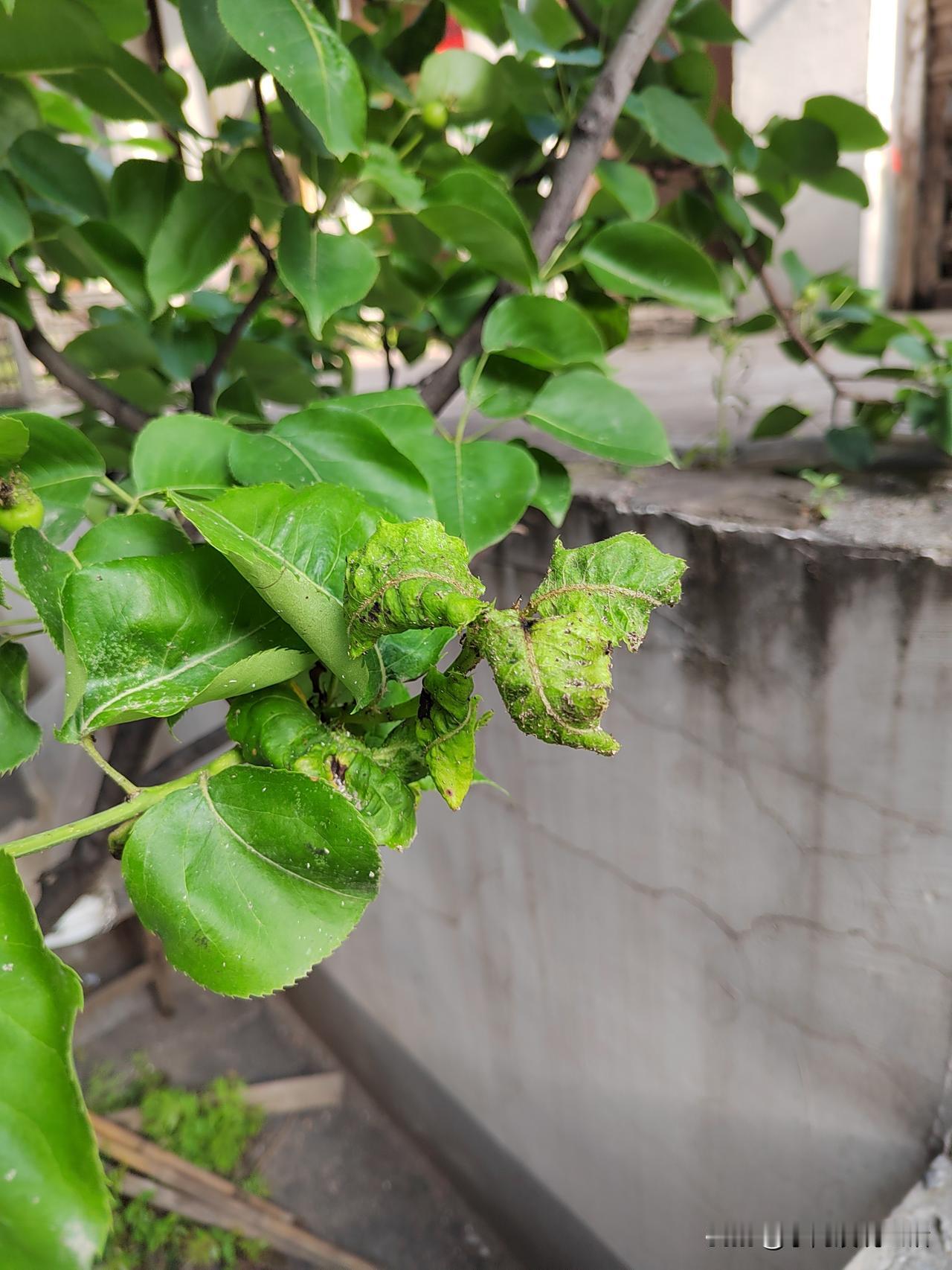 希望有多高，失望就有多痛！
今年2月份，我退休了！
刚退休的喜悦，很快就变成了失