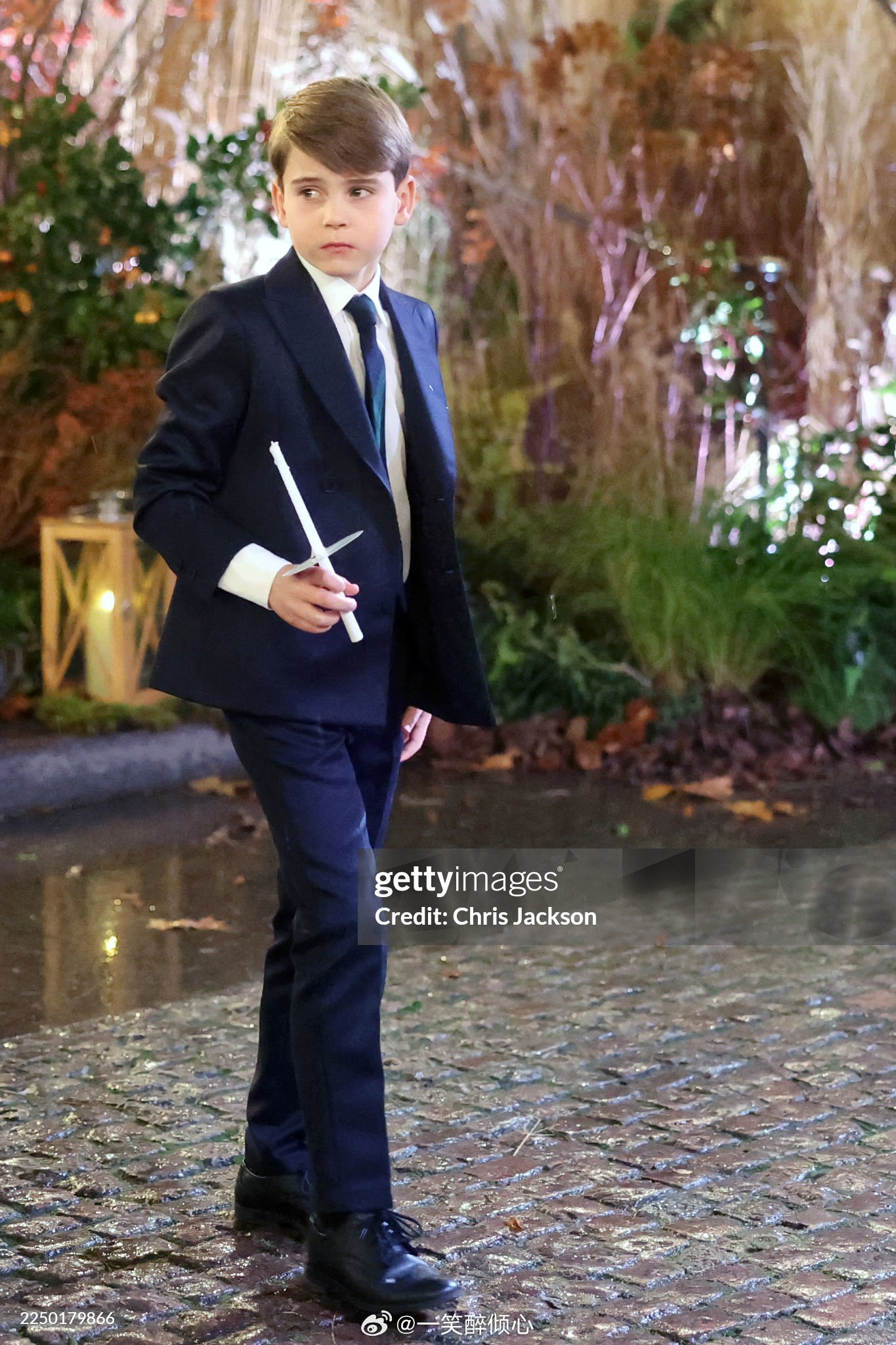 路易王子  路易长大了，开始初有少年了 