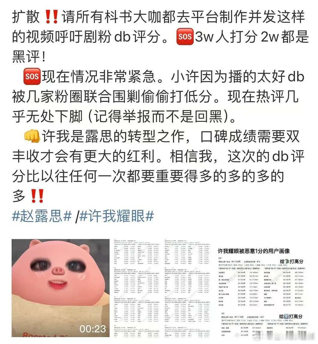 赵露思粉丝说因为《许我耀眼》播得太好，而被多家粉丝组团打低分，好奇从哪里看到三万