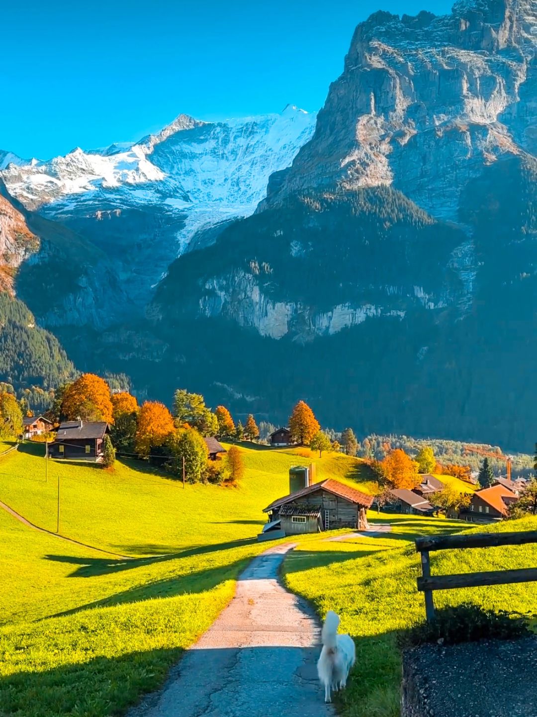 🇨🇭是真正的瑞士！风景美哭了！