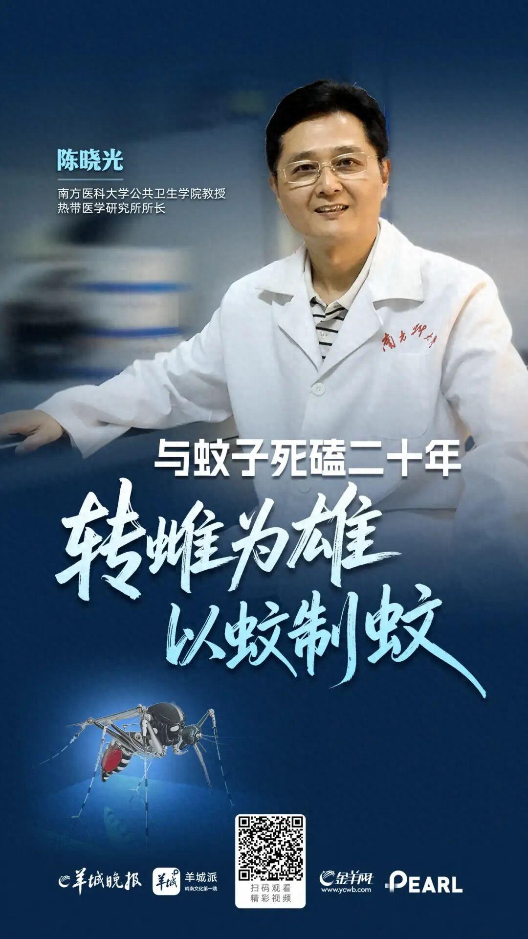 “让蚊子生不了女儿！”南方大学一名教授，为了根治蚊子的问题，花了整整二十年时间，